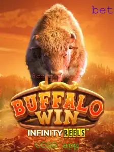 Descubra o Empolgante Mundo de BuffaloWin no CCGG App